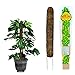 Mosser Lee ML1010H Totem Pole Plant Support, 24"