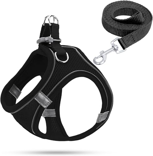 Pettorina per cani di piccola taglia, pettorina per cuccioli, imbracatura luminosa con guinzaglio, pettorina per cani e cuccioli (nero, XXS)