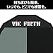 Vic Firth 12