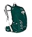 Osprey Packs Tempest 20 Women's Hiking Backpack, Chloroblast Green, WS/Medium