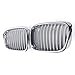 Desconocido Rejillas Frontales Riñón 2pcs Carreras de Coches de la Parrilla del Frente Parrillas Parrilla Chrome/Ajuste for BMW E39 Serie 5 525i 530i 540i 1995-2004 (Color : Silver)