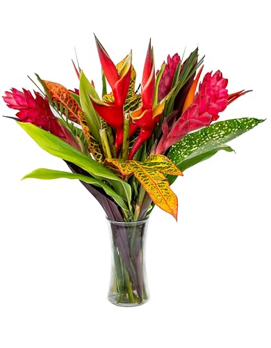 Fresh Orchids and Tropical Flower Bouquet, Perfect for Birthdays, Easter, Mother's Day, Anniversaries, Gifts, etc. (Multicolor)