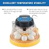 Brinsea Mini II EX Egg Incubator with Automatic Humidity Control and Egg Turning for Hatching 7 Chicken, Duck, Other Bird Eggs, Precision Digital Controls, Temperature Alarms