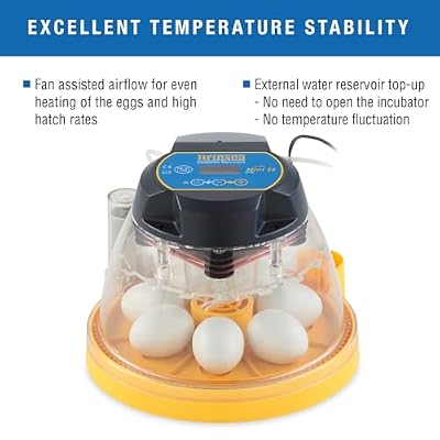 Brinsea Mini II EX Egg Incubator with Automatic Humidity Control and Egg Turning for Hatching 7 Chicken, Duck, Other Bird Eggs, Precision Digital Controls, Temperature Alarms