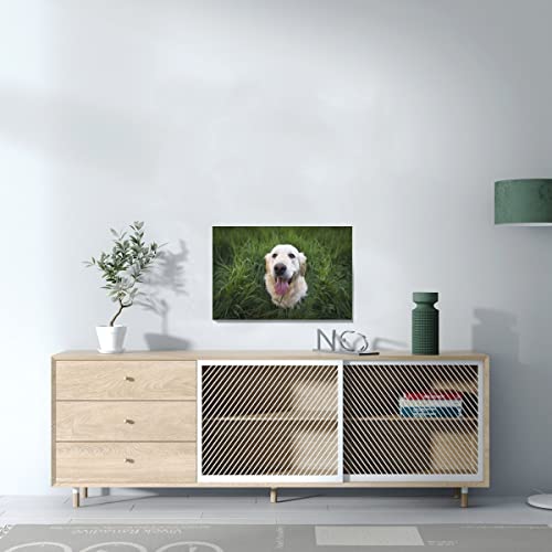 Tableau chien mignon labrador blanc pour masquer mur vide salon