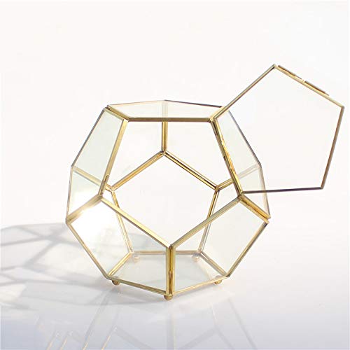 PP&DD eE  KX̗e 12ʑ̃Jbg vY nEX   WI v^[ X  RP Xg T{e t@[ t[|bg KX |S m Ԋ eE  V_ ۖ~  Aؔ A 