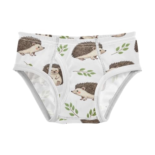 CHIFIGNO Boys' Underwear Cute Cartoon Hedgehogs White Little Boy Briefs Printed Cotton Brief Underwear