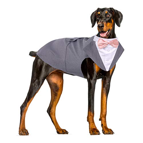ROZKITCH Dog Costume, Dog Tuxedo Costume with Collar Bandana Bow Tie Set for Wedding, Pet Tuxedo Suit for Large Dog, Formal Party Shirt Halloween Birthday Cosplay Elegant Dog Apparel Gray