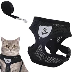 Pet Harness and Lead Set, Adjustable Pet Walking Vest with Leash Pet Collar, Easy Control Breathable Pets Leash, Escape Proof Vest Harness with Leash Set for Cats Dogs Pets Walking (Black, S)