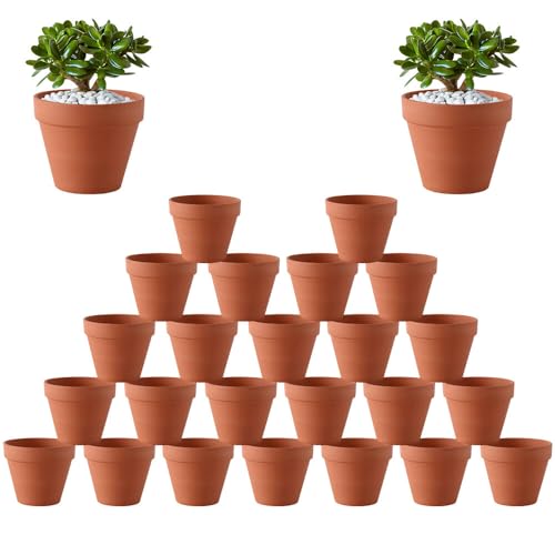 Gobesty Macetas De Terracota, 24 Unidades Pequeñas Macetas De Barro Para Manualidades, Mini Maceta De Terracota Con Orificio De Drenaje, Macetas De Arcilla Para Interiores Y Exteriores, Cactus