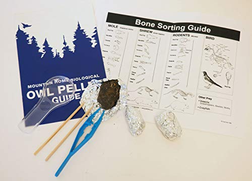Student Owl Pellet Kit