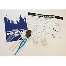 Student Owl Pellet Kit
