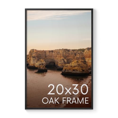 HAUS AND HUES 20x30 Black Oak Frame - Poster Holder, Art Display, Wall Mount (Wooden Frame)