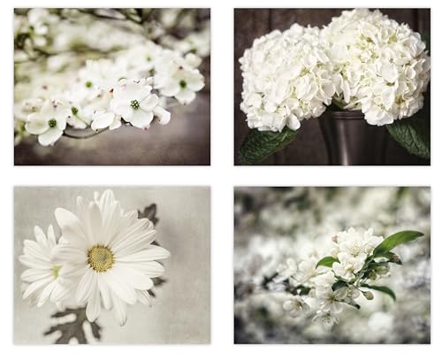 LISA RUSSO FINE ART - Shabby Chic Beige Brown Off White Flower Photo Prints - Set of 4 SMALL 5x7” Unframed - Botanical Art - Country Nature Floral Pictures For Bathroom, Bedroom, Nursery Wall Decor