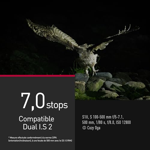 Panasonic LUMIX S-R100500E 100-500 mm F5-7.1 O.I.S.Objectif à Monture L, Téléobjectif Plein Format, Mise au Point Mini 0,8 m, Bague de Mise au Point Personnalisable, Résistant aux Intempéries, Noir