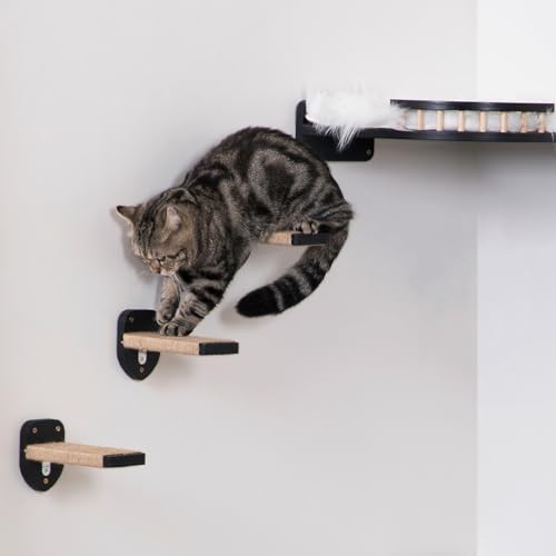 COOLEX 3 degraus de parede para gatos, móveis para gatos escalando na parede, prateleiras de parede