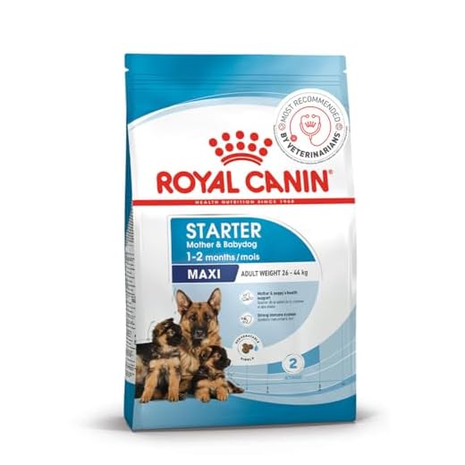 Royal Canin Maxi Starter Pellet Dog Food, Meat Flavor, 4 Kg,Pack of 1