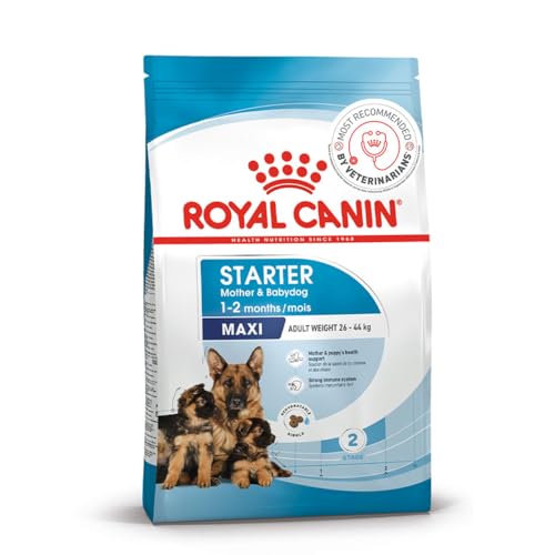 Image of Royal Canin Maxi Starter, Mother & Babydog Food, 4 Kg, Dry Food, Supports Complex Natural Defence & digestive health, Provides Gestation /Lactation Support, Supports Easy rehydration