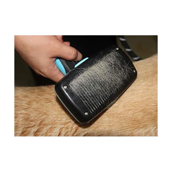 Maxpower Planet – Cat Brush Self Cleaning Slicker Brush – Deshedding Brush for Dogs and Cats – Gently Removes Loose Undercoat, Mats and Tangled Hair – Safe Pet Grooming Comb Dog Brush Maxpower Planet – Cat Brush Self Cleaning Slicker Brush – Deshedding Brush for Dogs and Cats – Gently Removes Loose Undercoat, Mats and Tangled Hair – Safe Pet Grooming Comb Dog Brush