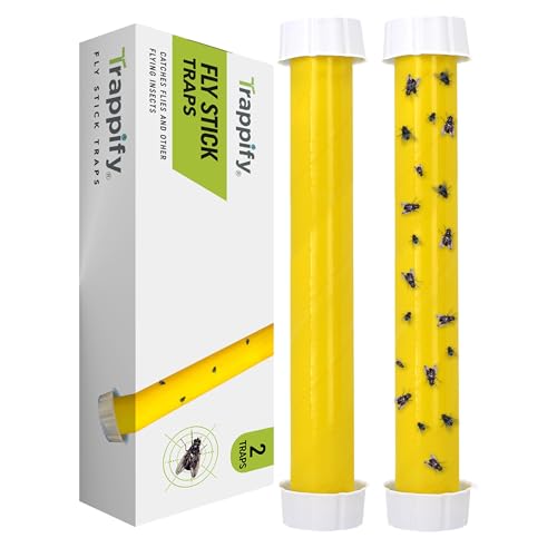 Trappify Hanging Fly Traps Outdoor: Fruit Fly Traps for...