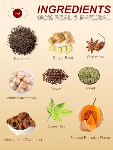 Image of TeeLux Pumpkin Spice Black Tea Bags, Mellow Black Tea with Cinnamon, Cloves, Ginger & Creamy Pumpkin Flavor, Warm & Aromatic, 100 Count