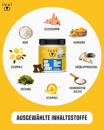 ivvi Hip & Joint - hochkonzentrierte Gelenktabletten für Hunde als Leckerli mit Grünlippmuschel Hund, Glucosamin, Chondroitin & MSM - 60 leckere Snacks (270g) mit Huhn