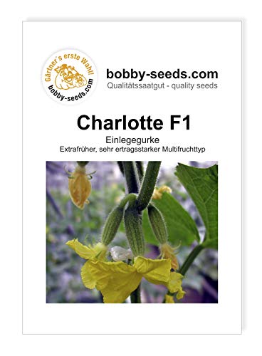 Preisvergleich Produktbild Gurkensamen Charlotte F1 Portion