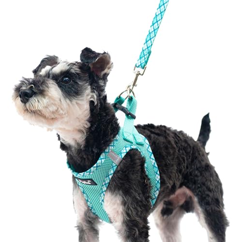PUPTECK Step-in Dog Harness Small Dog No Pull Vest and Lead Set for Puppy Cats Outdoor Walking Green S