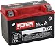 Motorradbatterie BS Battery 300674 BTX9 AGM für verschiedene Modelle