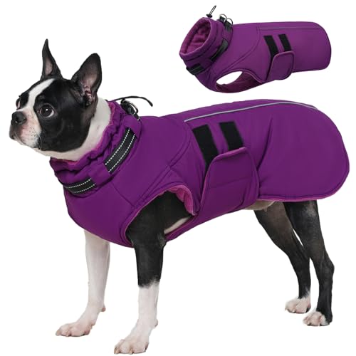 IECOii Waterproof Dog Coat for Medium Dogs, Reflective Dog Jacket with Collar Built in, Thick Fleece Dogs Coat for Winter Easy On Hook & Loop Pet Snowsuit for Hunting, Hiking, Camping, Purpl