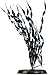 Pearlscaper Corkscrw Valisneria Plant, 8-Inch