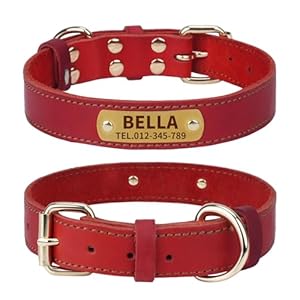 TagME Collier de Chien en Cuir Personnalisé,Médaille Gravée avec Nom et Numéro de Téléphone,Cuir Véritable épais,Adapté aux Grands Chiens,Rouge Corail