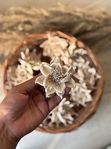 Image of Sola Whistle | 10 Piece | Lightweight & Handcrafted Sola Wood Flower for Elegant Home Dcor & DIY Arrangements