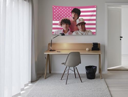 TIMIBUGER Sturniolo Bandeira trigêmeos rosa 0,9 x 1,5 m com 4 ilhós de latão rosa bandeira americana