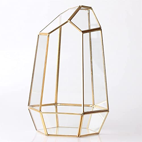 Szgulaike 9.8 Inches Glass Geometric Plant Terrarium, Succulent & Air Planter Container Succulent Moss Fern Planter Display Box For Present For Home Garden Office Decoration (No Plants) -Gold #TOP4