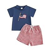 Meiweileya 4th Of July Toddler Baby Boy Outfits Short Sleeve American Flag Embroidery Tshirt Plaid Shorts Set Patriotic Summer Clothes (Blue, 12-18 Months)