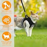 Verstellbarer Brustgurt mit reflektierender Leine - Geschirr & Leine Set für Welpen, Hunde & Katzen (S)