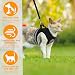 Verstellbarer Brustgurt mit reflektierender Leine - Geschirr & Leine Set für Welpen, Hunde & Katzen (S)