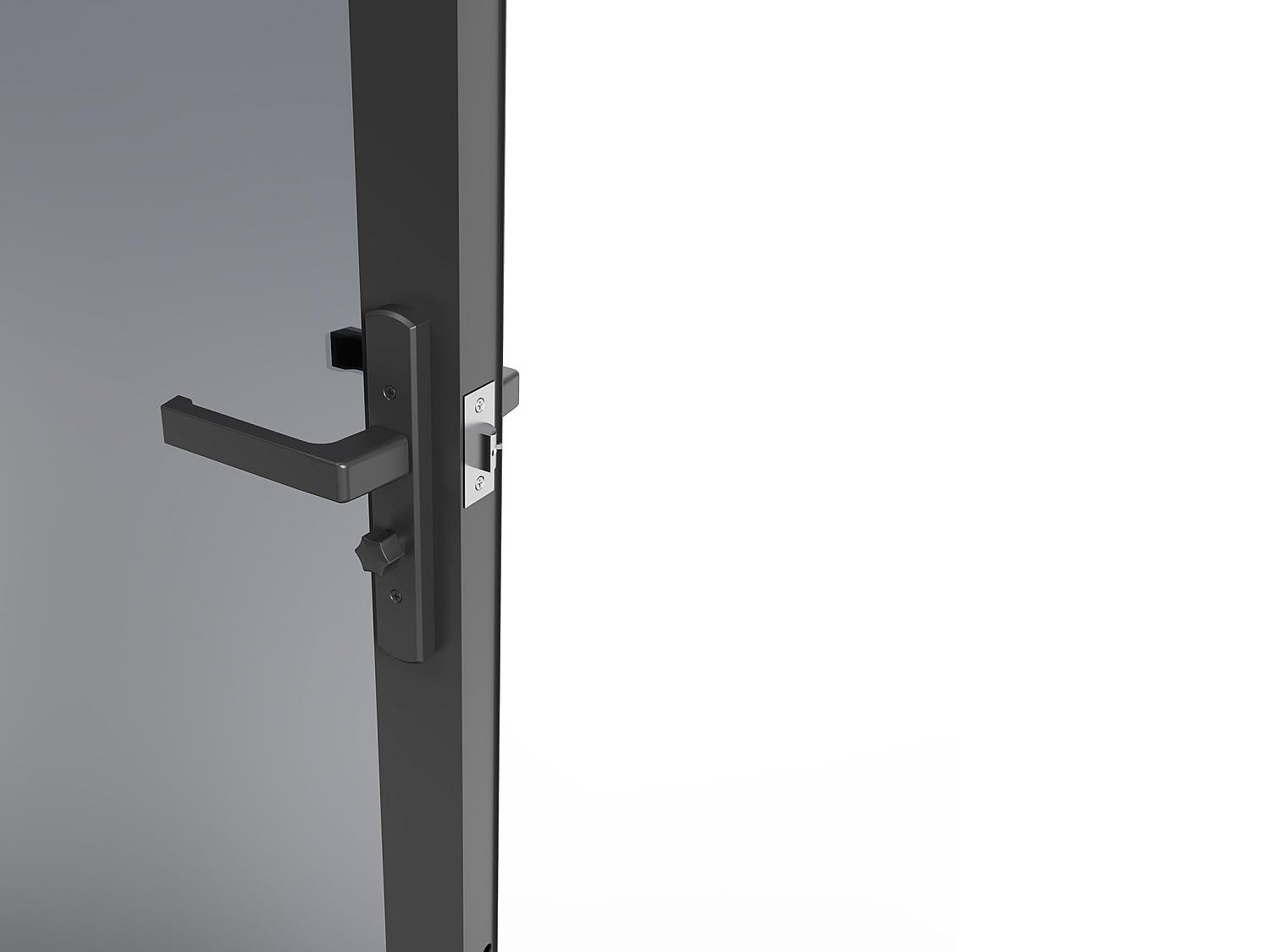 Vente-unique - Puerta con marco Loxton - L 93cm x A 3.5cm x H 204cm - cristal templado - negro