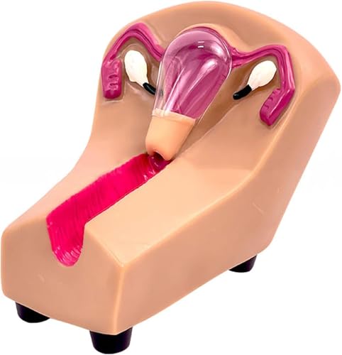 IUD Simulator with Internal Contraception Guidance & External Birth Device for Gynecological Teaching, Medical Practice & Nursing Student Training