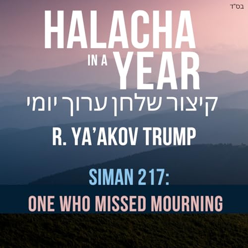 Siman 217 - One who missed Mourning