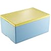 thermohauser EPS Thermal Box GN 1/1 met deksel – 39 liter volume – 60,5 x 40 x 5 cm – Polystyreen transportdoos