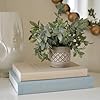 Beautiful Coffee Table Decor –...