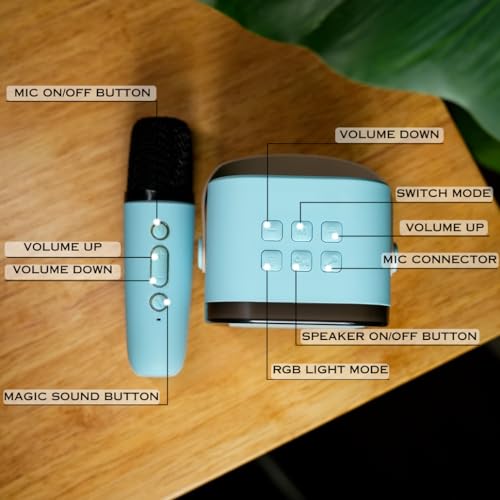 Image of Fire turtle Wireless Bluetooth Karaoke Microphone with HD Speaker & Flashing LED Lights | Rechargeable Portable Singing Mic for All People