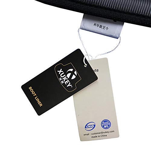 Tappeto Bagagliaio Posteriore in Protezione Vasca