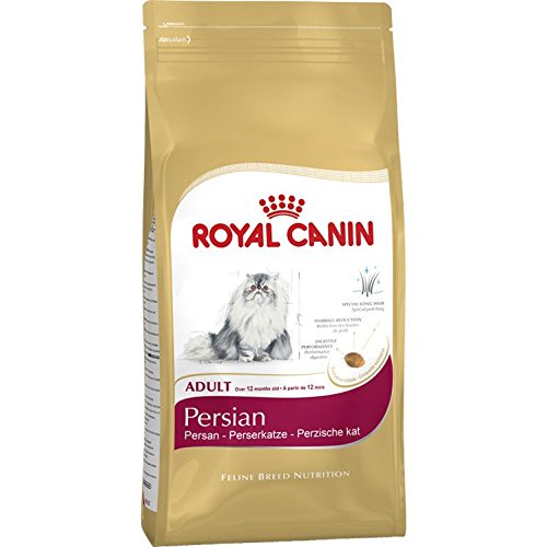 Royal Canin Persian - Pienso para gatos de raza persa 4Kg