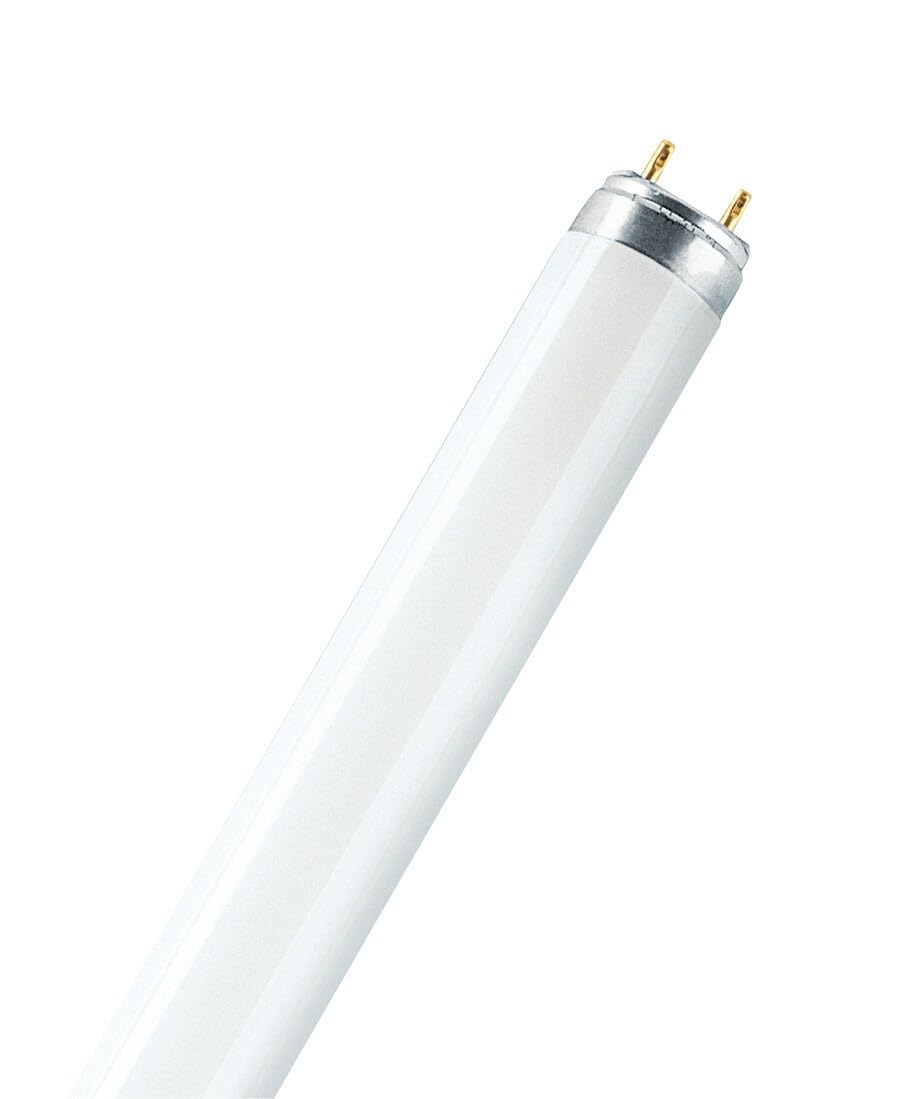 Tubo fluorescente T8 36 W 6500 K 1200 mm, ideale per l'illuminazione commerciale e domestica, fornisce luce bianca fredda ed efficiente.