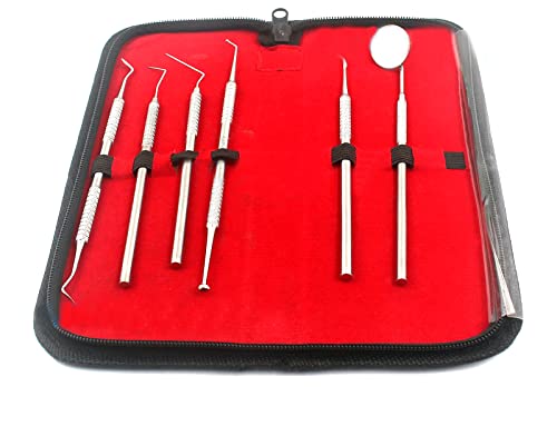 Professional Dental Hygiene KIT by AA PRO | 6 Peice Stainless Steel Instruments Including TARTER Scraper Scaler Remover Tool, Dental Pick, Probe, Teeth Mirror, Burnisher, PET Friendly A+ Quality
