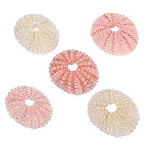 ORFOFE 5個ウニ工芸 手作りウニの 貝殻工芸の飾り 水槽の装飾 アクアリウム用デコレーション デスクトップ装飾のサムネイル
