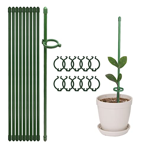 12 Inch Plant Support Stakes with Adjustable Retaining Ring Green Plant Sticks Support Stakes for Indoor and Outdoor Plants Flowers Climbing(10Pcs)